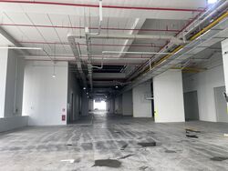 Ct Foodnex (D25), Warehouse #501668301